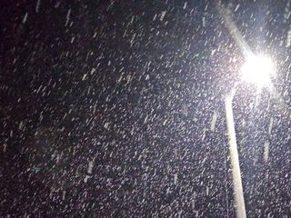 백용기님의 자유주제 · 자유게시판 작성글 사진