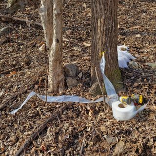 연국흠님의 자유주제 · 사진전 작성글 사진