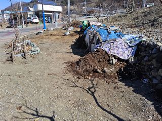 김용대님의 자유주제 · 자유게시판 작성글 사진