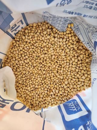 시골에 살어리랏다 님의 작성글 사진