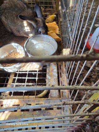 소병찬님의 자유주제 · 자유게시판 작성글 사진