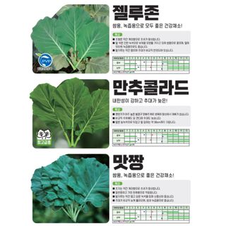 아시아종묘님의 자유주제 · 자유게시판 작성글 사진