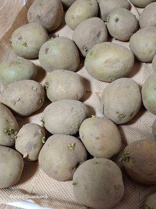 이세순님의 자유주제 · 자유게시판 작성글 사진