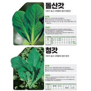 아시아종묘님의 자유주제 · 자유게시판 작성글 사진