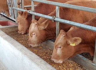 국중선님의 자유주제 · 자유게시판 작성글 사진