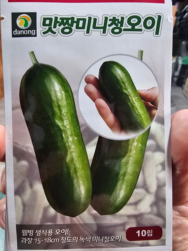 한농농약종묘사님의 장터 판매 상품 [오이씨앗. 노각오이씨앗. 피클오이] 첨부 사진