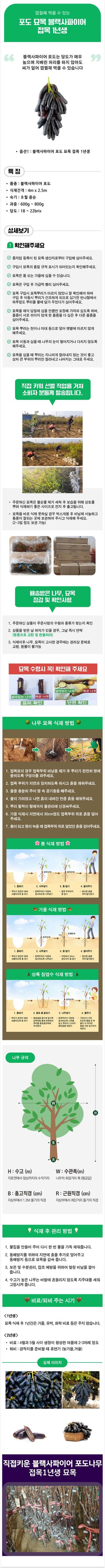 팜모닝 상점님의 작성글 사진