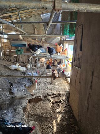 소병찬님의 자유주제 · 자유게시판 작성글 사진