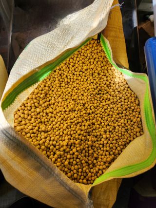 시골에 살어리랏다 님의 작성글 사진