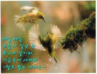 젠틀맨님의 자유주제 · 자유게시판 작성글 사진