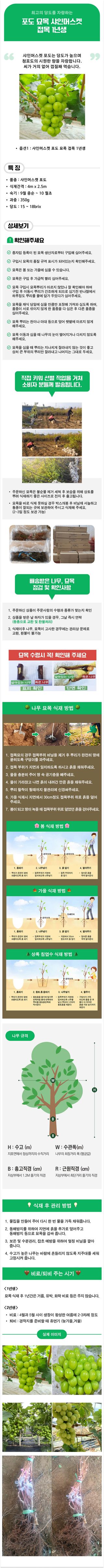 팜모닝 상점님의 작성글 사진