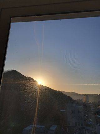 고산국토사랑풀뽑기님의 자유주제 · 자유게시판 작성글 사진