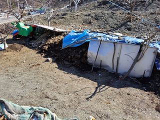 김용대님의 자유주제 · 자유게시판 작성글 사진