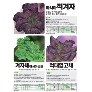 아시아종묘님의 자유주제 · 자유게시판 작성글 사진