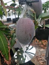 팜모닝 자유주제·자유게시판 게시글 이미지