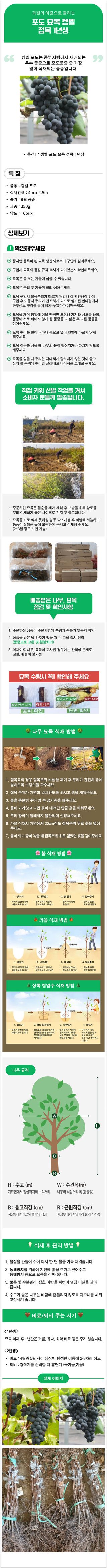 팜모닝 상점님의 작성글 사진