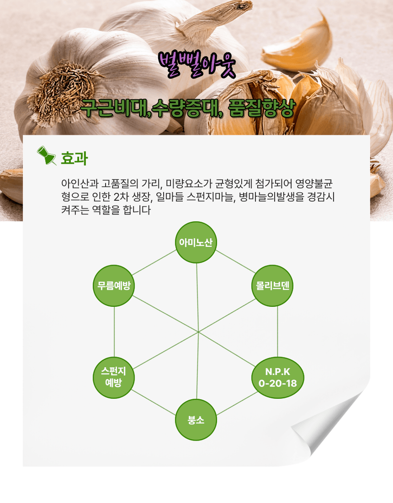 대산농사대장님의 장터 판매 상품 [벌뻥스탑500ml  스펀지 뻥마늘 예방] 첨부 사진