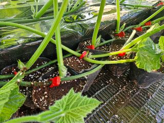 최근학님의 자유주제 · 자유게시판 작성글 사진