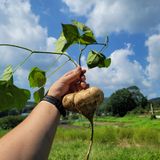 팜모닝 자유주제·자유게시판 게시글 이미지