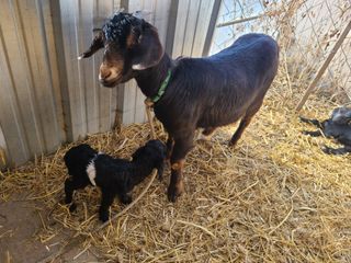 (천지산)님의 자유주제 · 사진전 작성글 사진