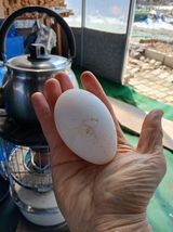 팜모닝 자유주제·자유게시판 게시글 이미지