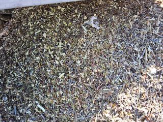 김용대님의 자유주제 · 자유게시판 작성글 사진