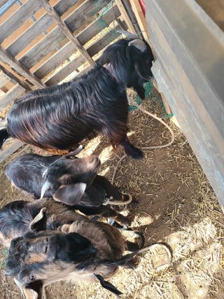 (천지산)님의 자유주제 · 사진전 작성글 사진