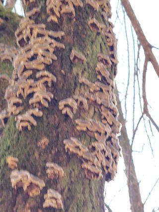 재연농장님의 자유주제 · 자유게시판 작성글 사진