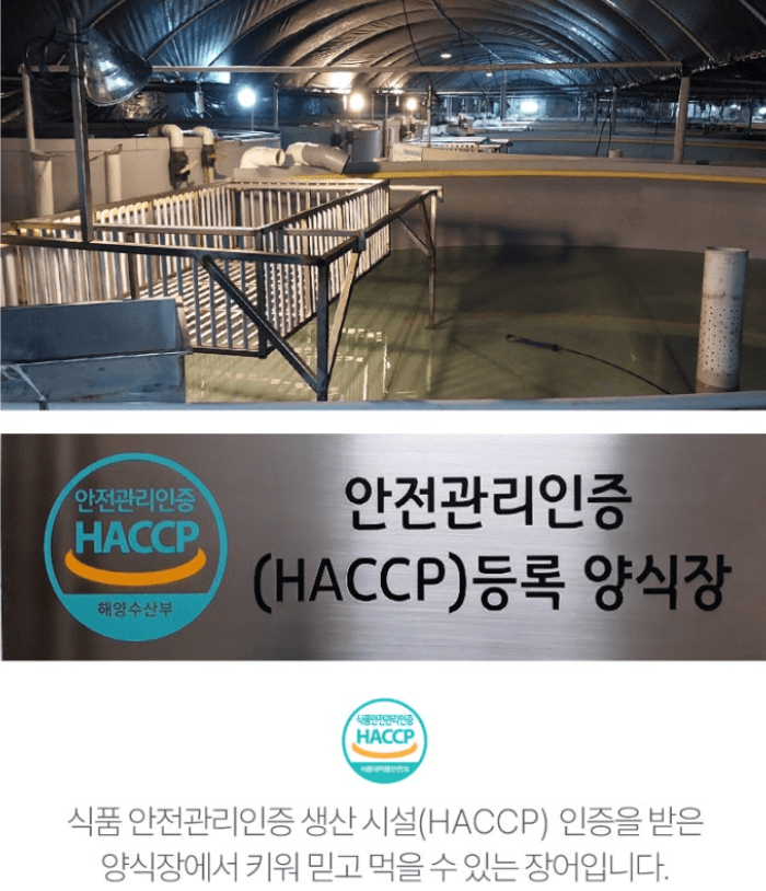 스피드번님의 장터 판매 상품 [고창 풍천 장어 ] 첨부 사진