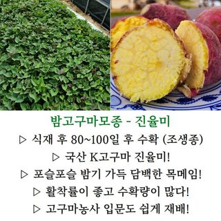 김동수님의 작성글 사진