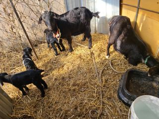 (천지산)님의 자유주제 · 사진전 작성글 사진