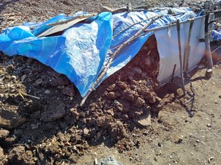 김용대님의 자유주제 · 자유게시판 작성글 사진