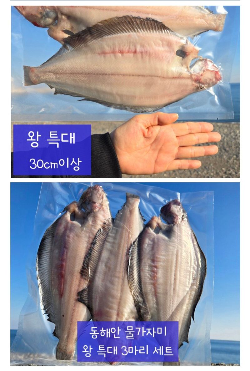 농수사님의 장터 판매 상품 [동해안 참가자미(반건조) 특가] 첨부 사진