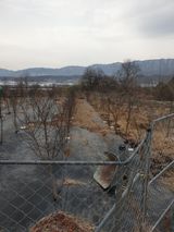 팜모닝 농사, 무엇이든 물어보세요!·참여글 게시글 이미지