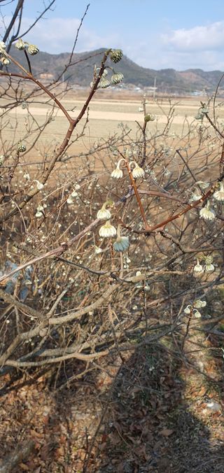 한밭농원님의 자유주제 · 자유게시판 작성글 사진