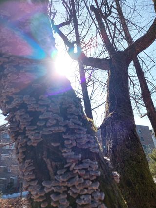 재연농장님의 자유주제 · 자유게시판 작성글 사진