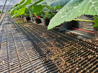 최근학님의 자유주제 · 자유게시판 작성글 사진