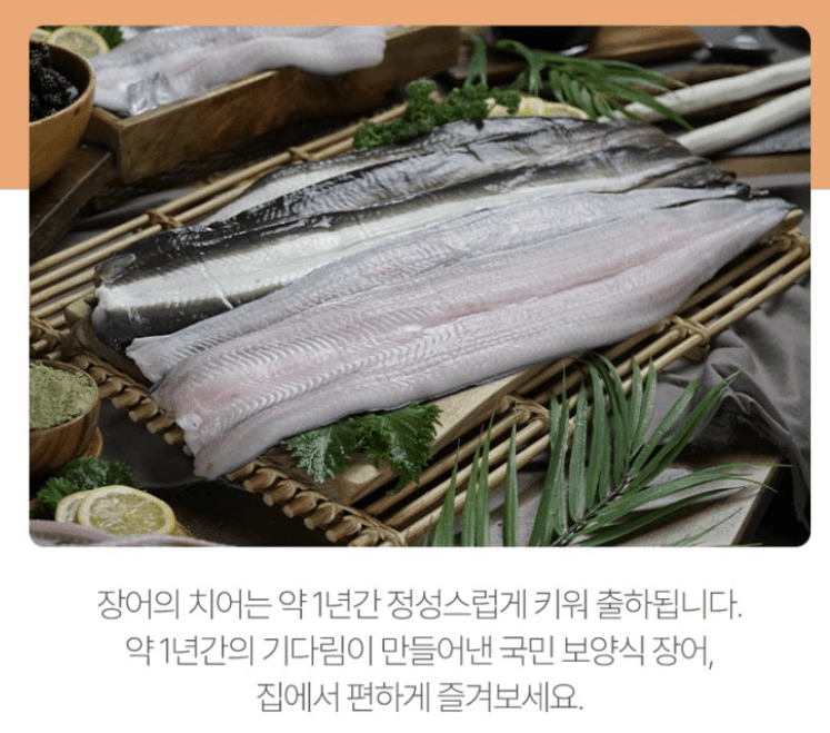 스피드번님의 장터 판매 상품 [고창 풍천 장어 ] 첨부 사진