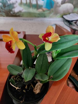 무형교회목사 안영진님의 작성글 사진