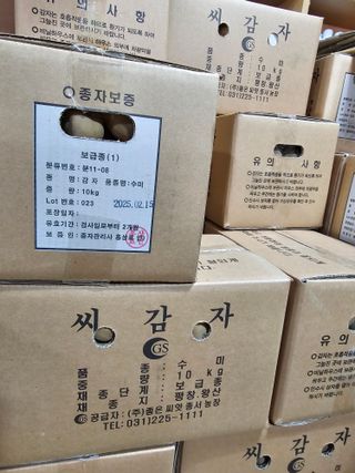 한농농약종묘사님의 감자 · 자유게시판 작성글 사진