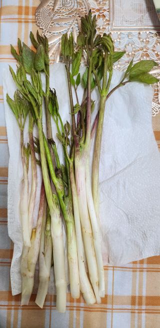 정미리님의 자유주제 · 자유게시판 작성글 사진