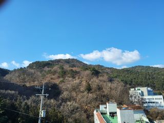 식만동 복합영농님의 자유주제 · 칭찬해요 작성글 사진