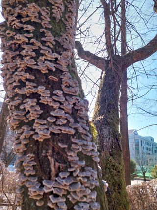 재연농장님의 자유주제 · 자유게시판 작성글 사진