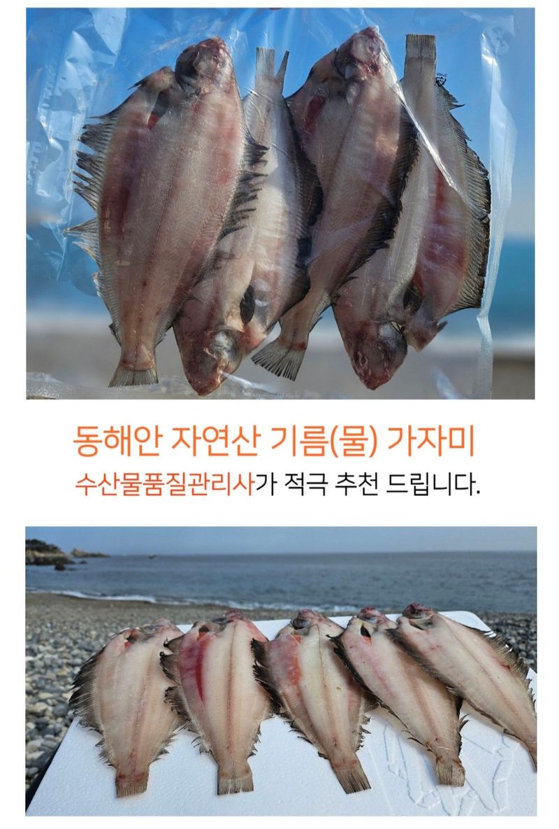 농수사님의 장터 판매 상품 [동해안 참가자미(반건조) 특가] 첨부 사진