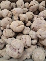 팜모닝 자유주제·건의해요 게시글 이미지