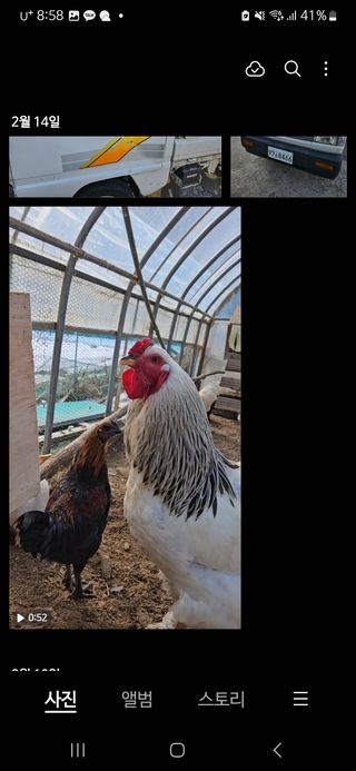 아리엘님의 자유주제 · 자유게시판 작성글 사진