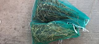 백순분님의 작성글 사진