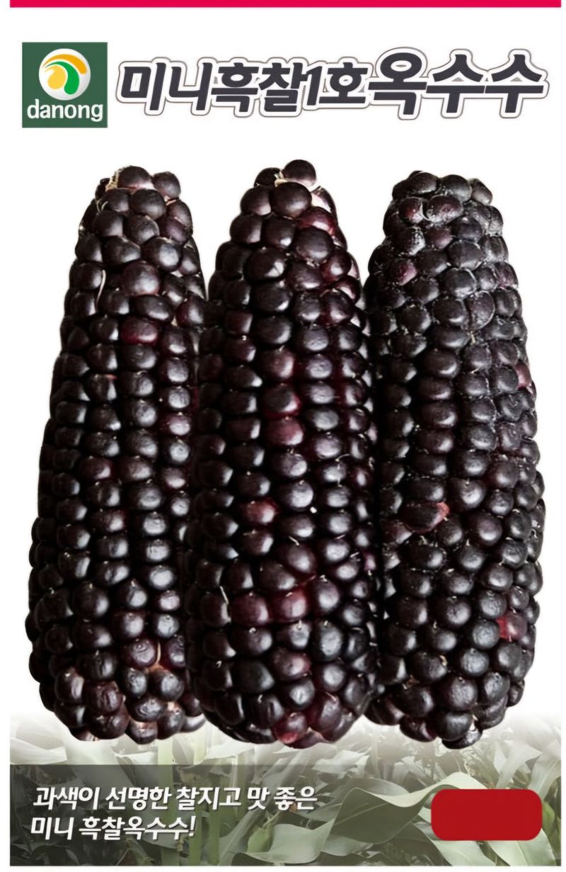 한농농약종묘사님의 장터 판매 상품 [[소형찰옥수수씨앗] 미니찰옥수수] 첨부 사진