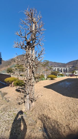 MSG0074님의 자유주제 · 자유게시판 작성글 사진