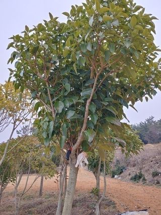 이현상님의 자유주제 · 자유게시판 작성글 사진